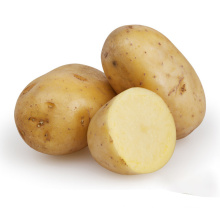 bulk rich water-soluble nutritious prices fresh potato